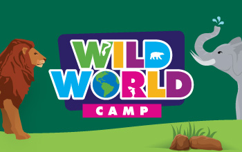 Wild world camp logo with an illustration of an elephant on the right and a lion on the left